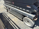 General Appearance with Paint