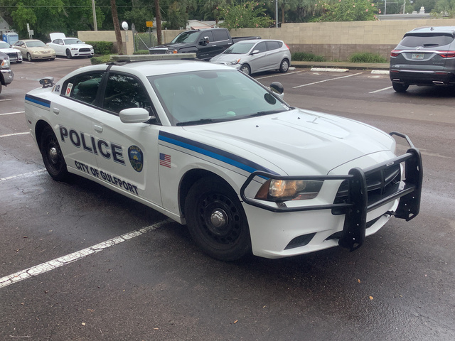 2013 Dodge Charger Sedan 2013 Dodge Charger Sedan