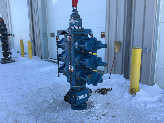 Forum 5 1/8" Triple Blowout Preventer
