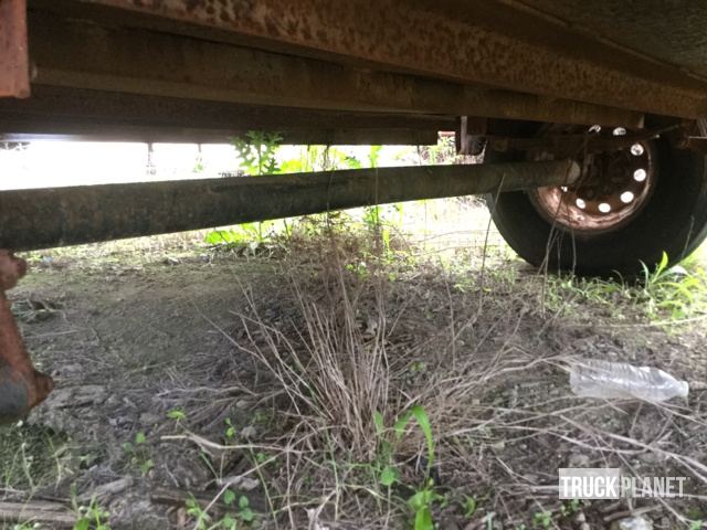 фото и видео