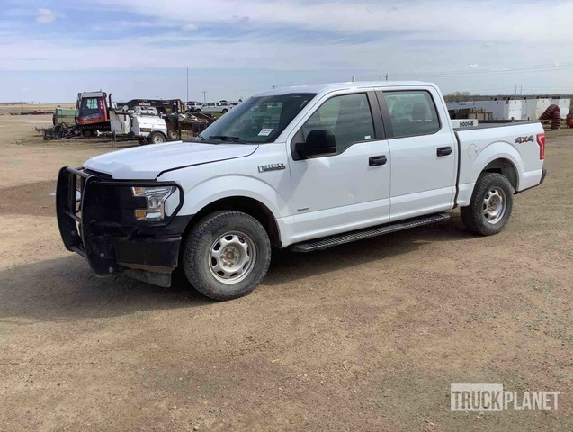 фото и видео