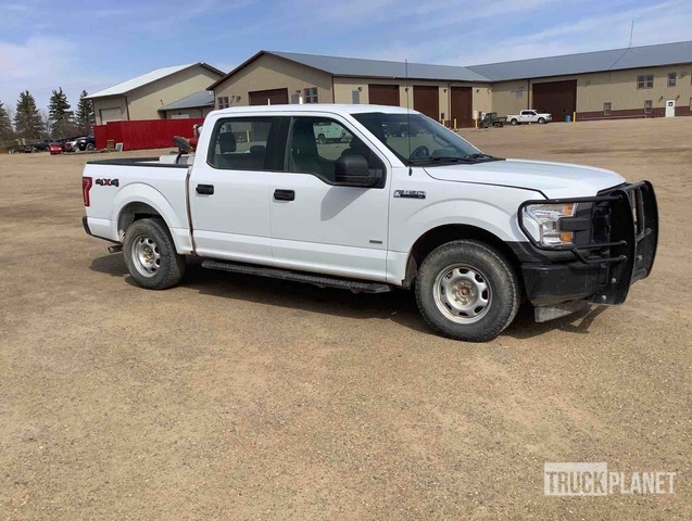 фото и видео