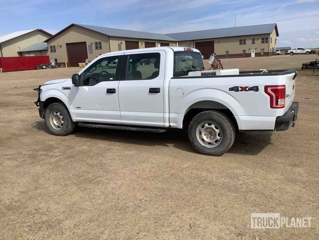 фото и видео