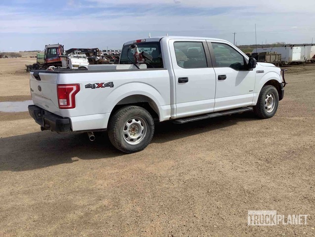 фото и видео