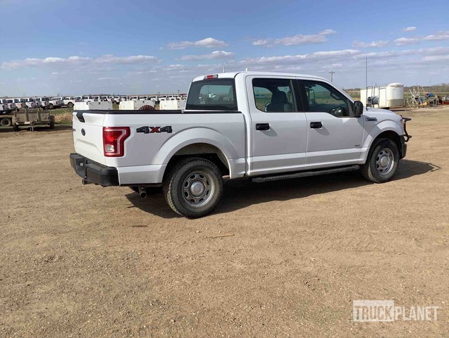 фото и видео