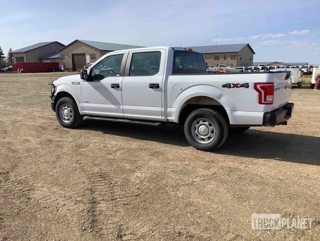 фото и видео