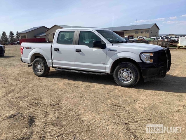 фото и видео