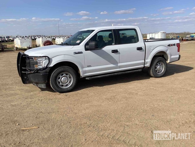 фото и видео