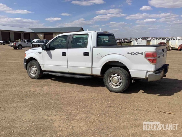 фото и видео