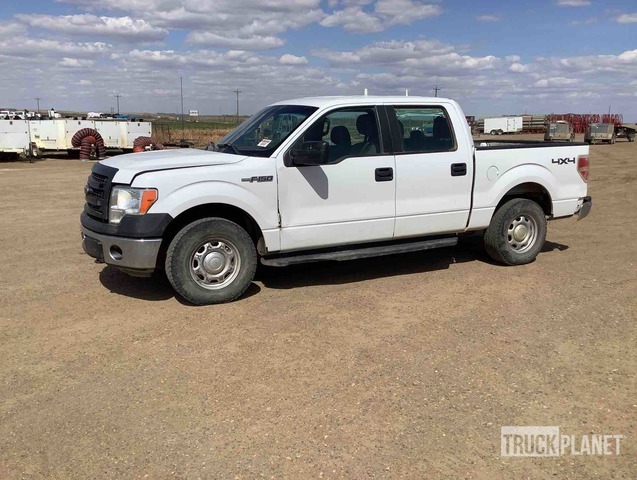 фото и видео