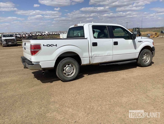 фото и видео