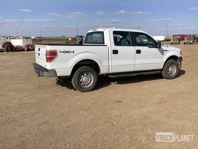 фото и видео