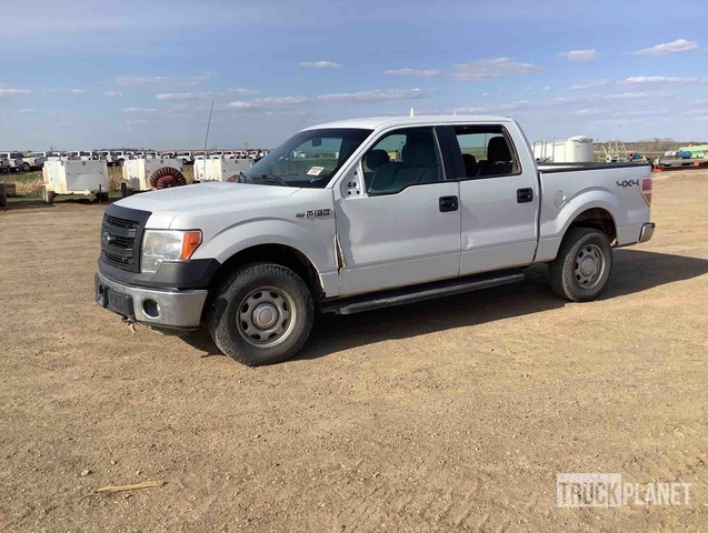 фото и видео