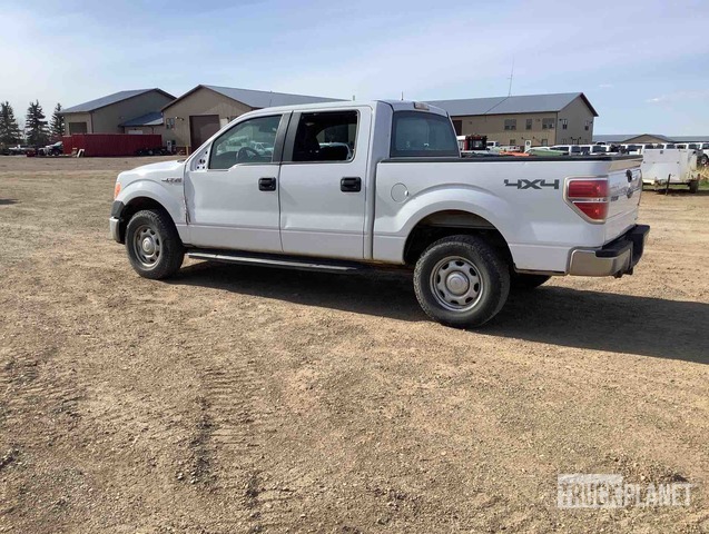 фото и видео