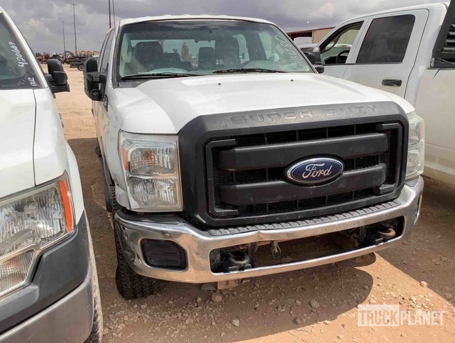 фото и видео