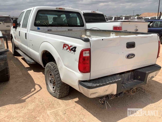 фото и видео