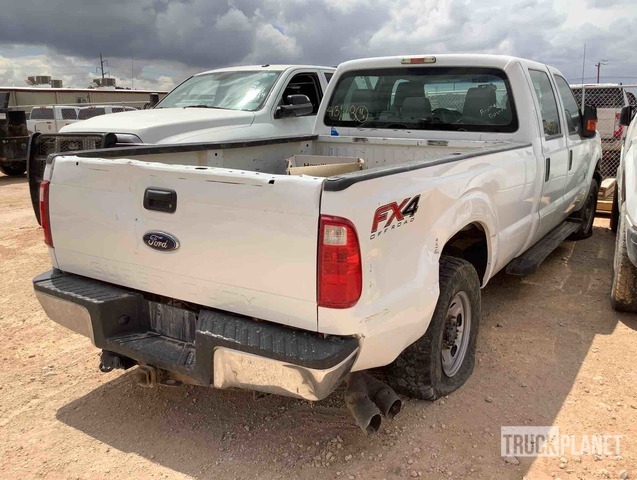 фото и видео