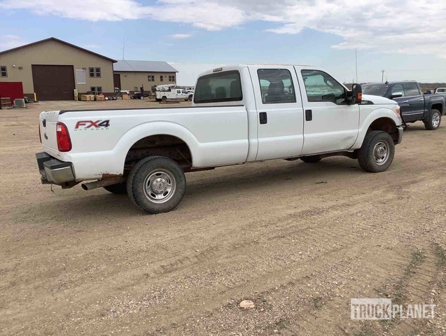 фото и видео