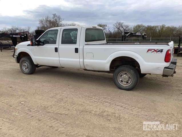 фото и видео