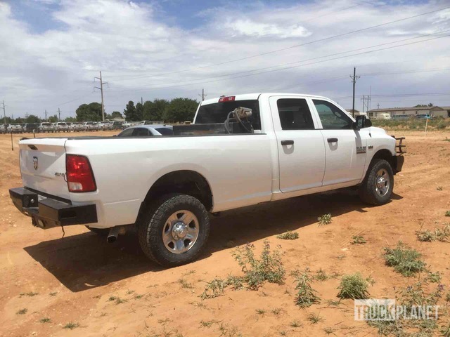 фото и видео