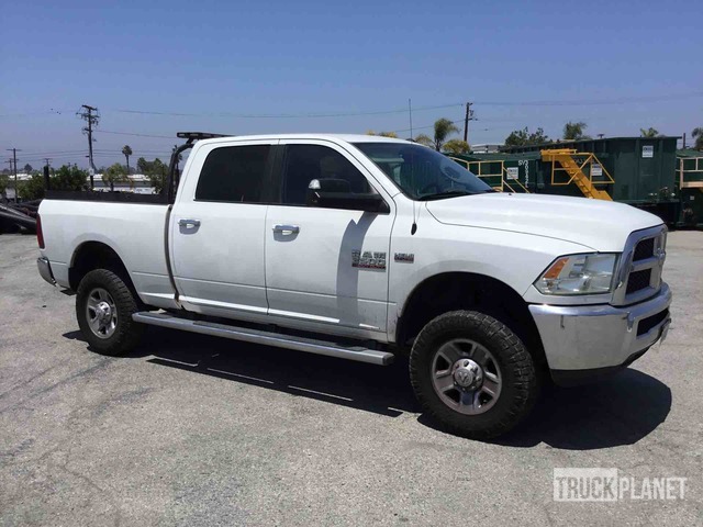 фото и видео