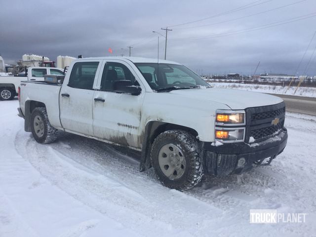 фото и видео