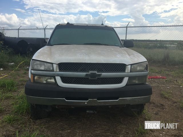 фото и видео