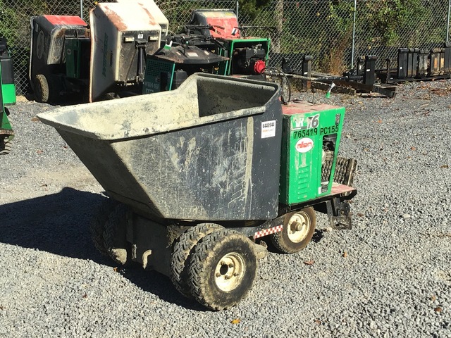 used georgia buggy for sale