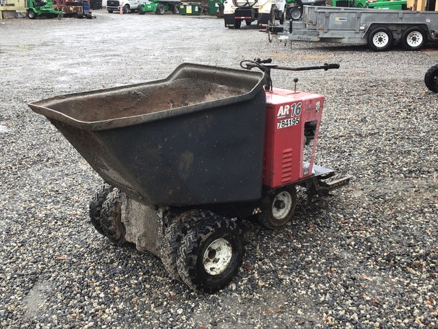 used georgia buggy for sale