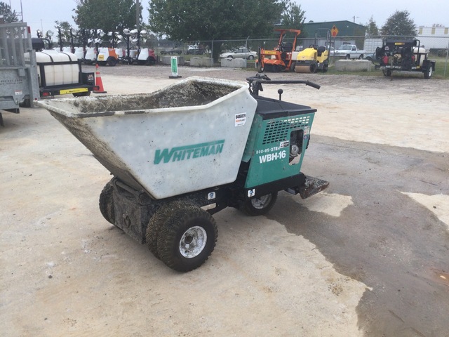 used georgia buggy for sale