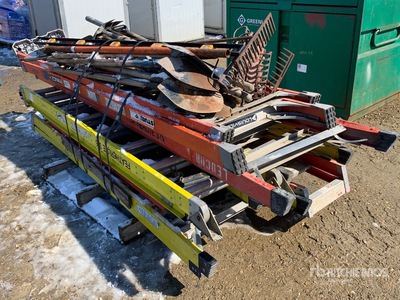 Quantity of Featherlite Ladder