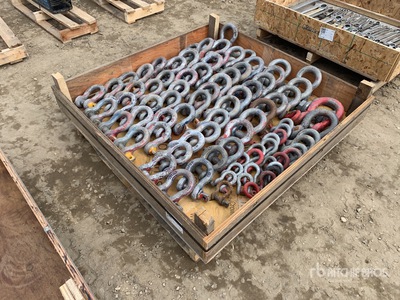 Quantity of Shackle