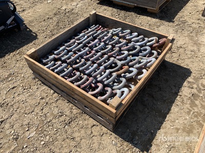 Quantity of Shackle