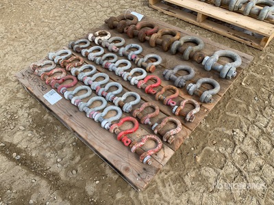 Quantity of (35) Crosby Shackle