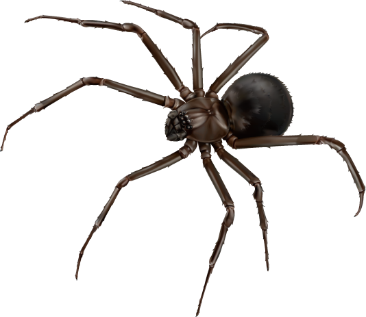 collector cars for sale