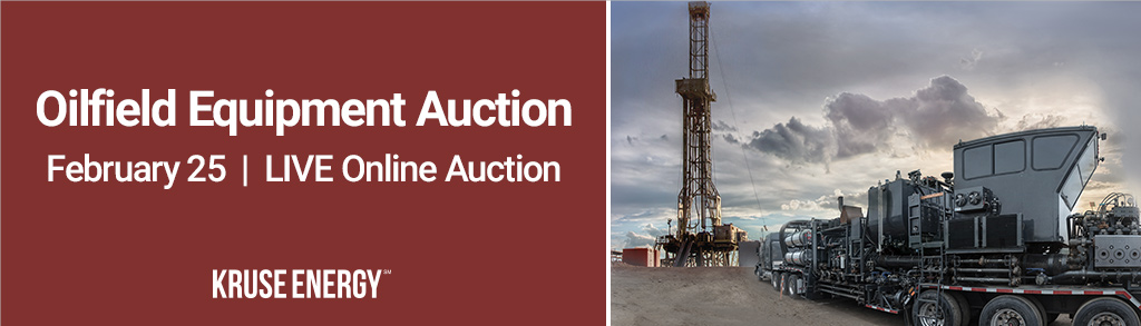 Unreserved Public Auction