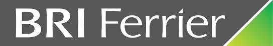BRI Logo