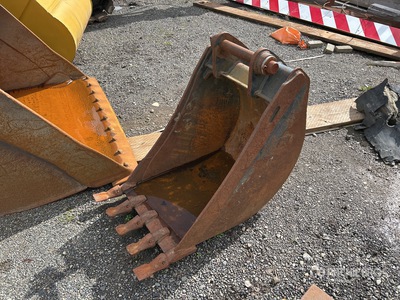 Cat 24 in Digging Excavator Bucket