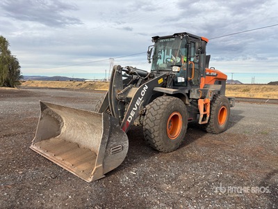 2024 Develon DL250-7 Pala cargadora